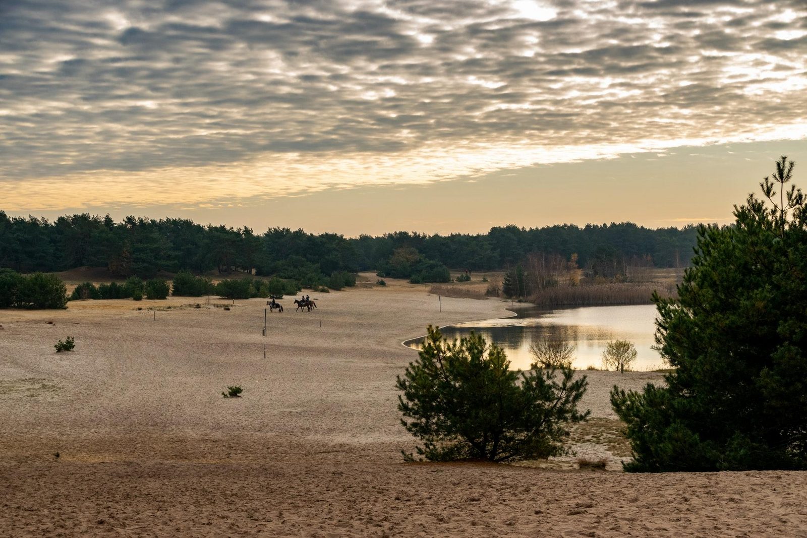 Lommelse Sahara