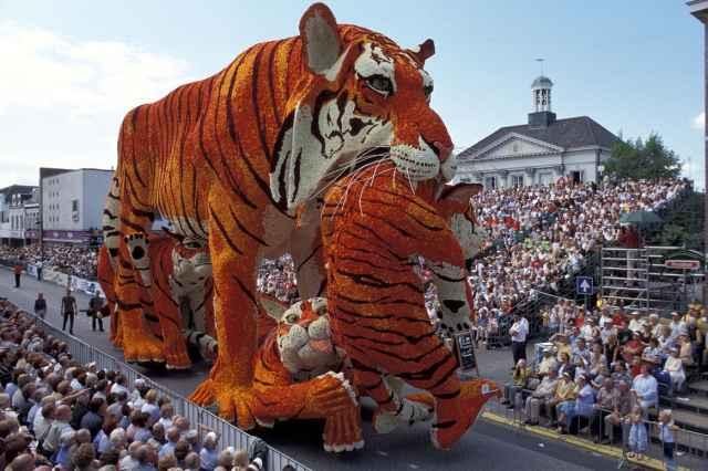 Bloemencorso