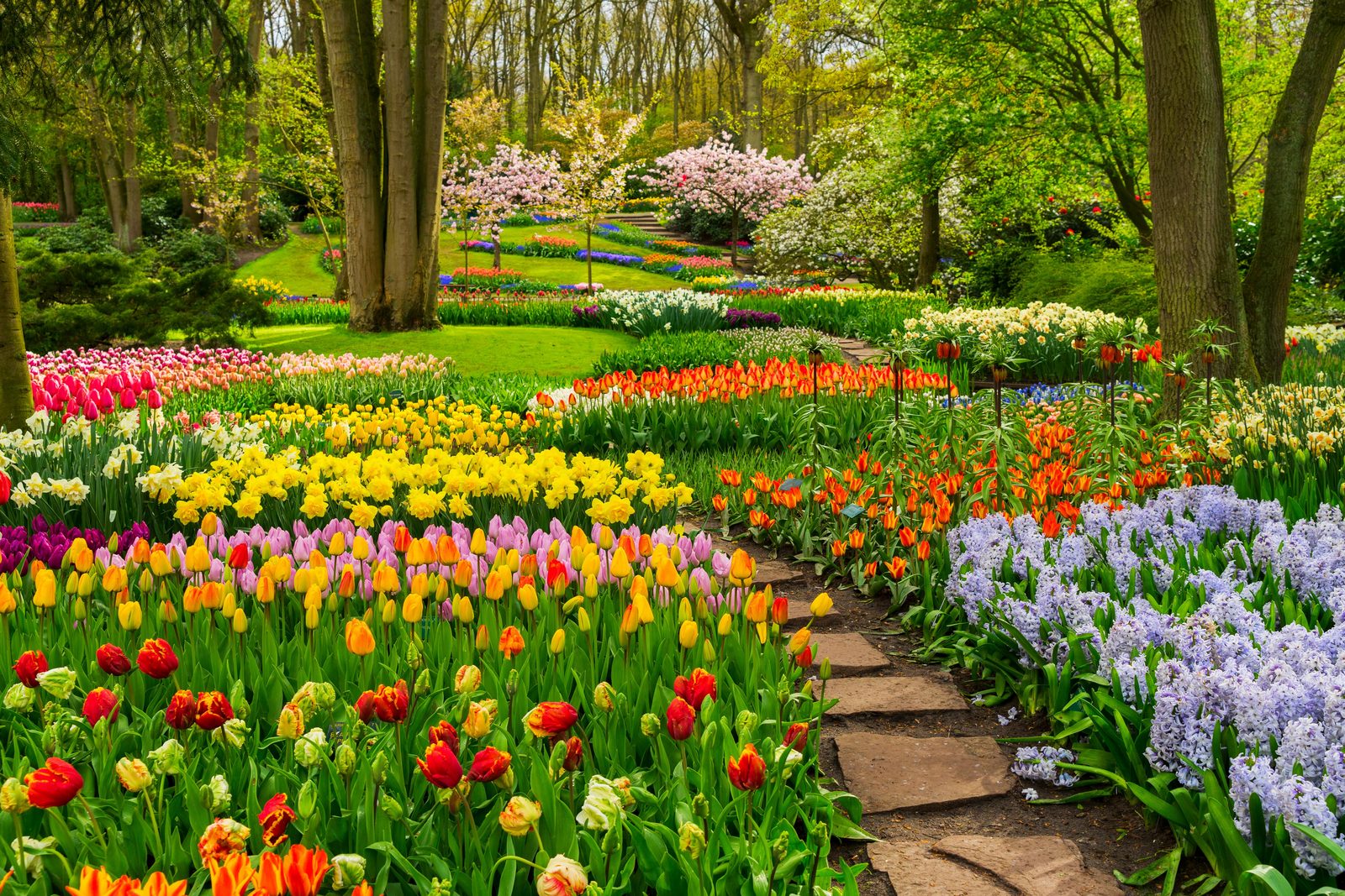Keukenhof