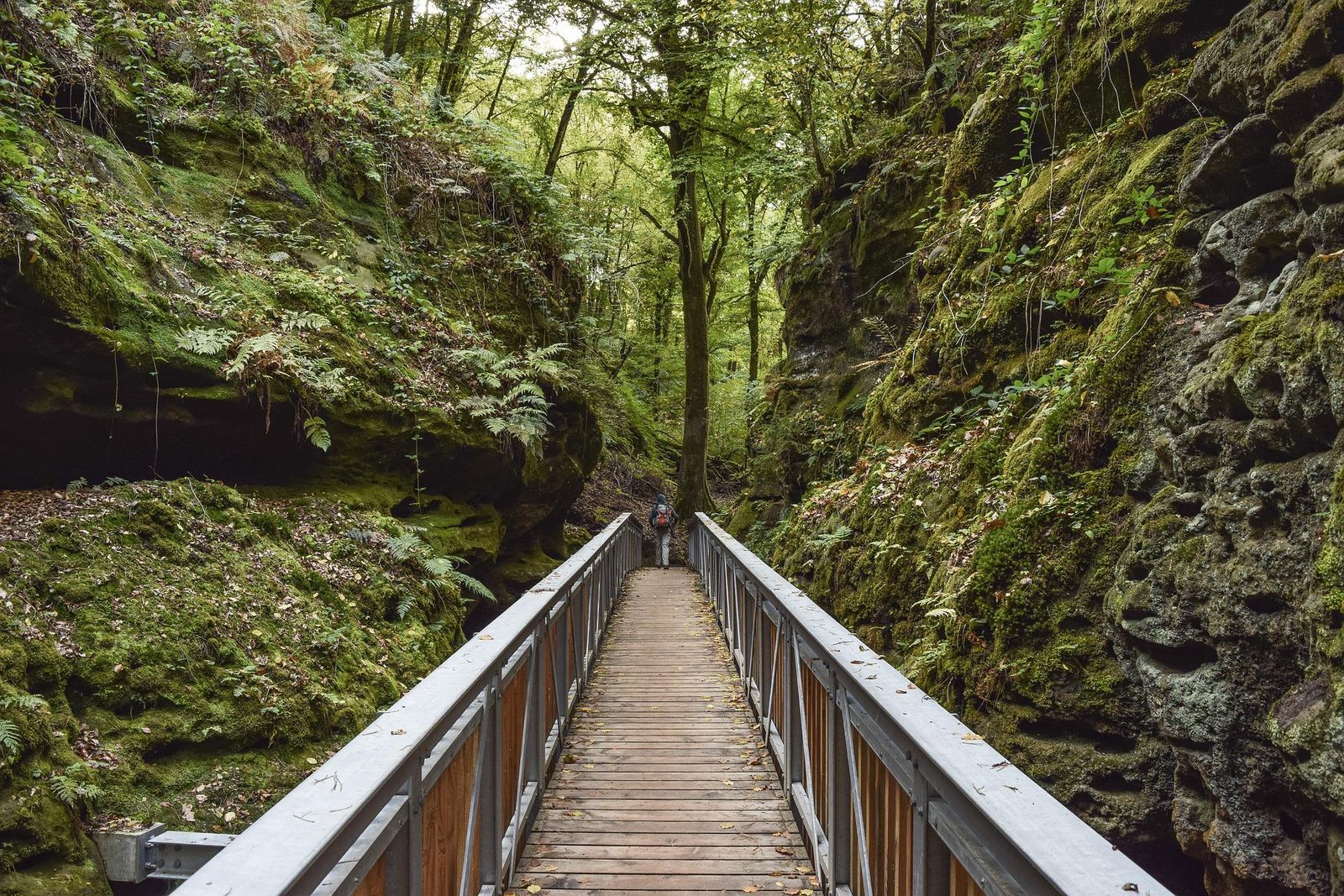 Wandern