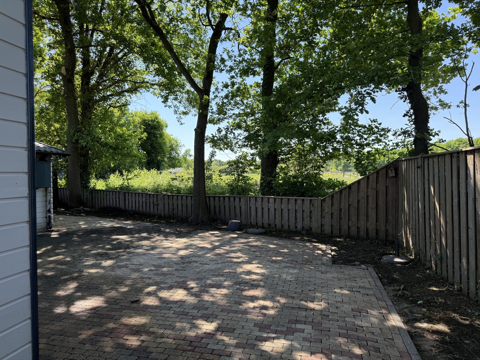 Berken 0870
