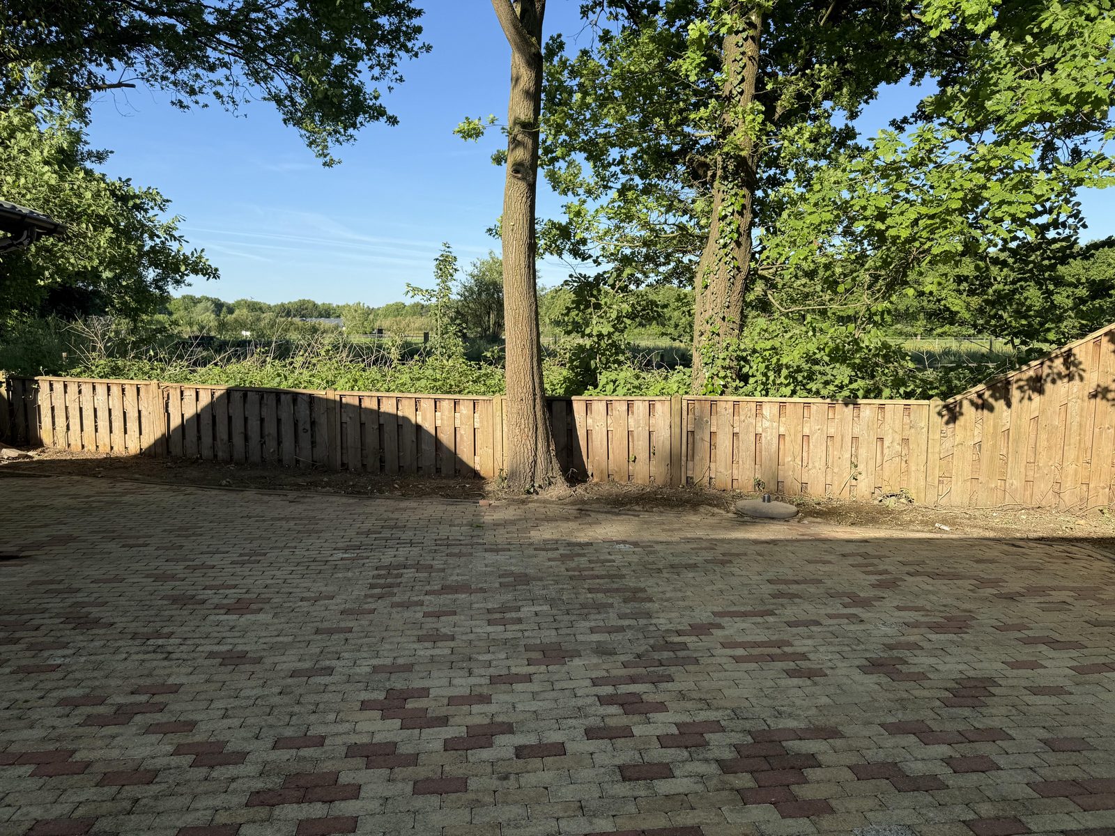 Berken 0870