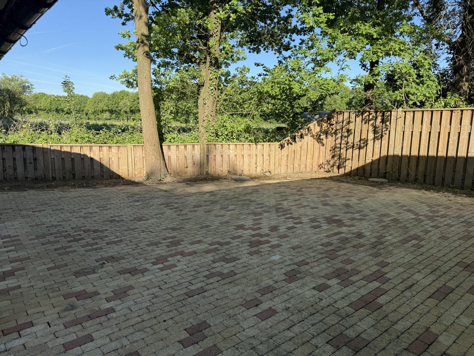 Berken 0870