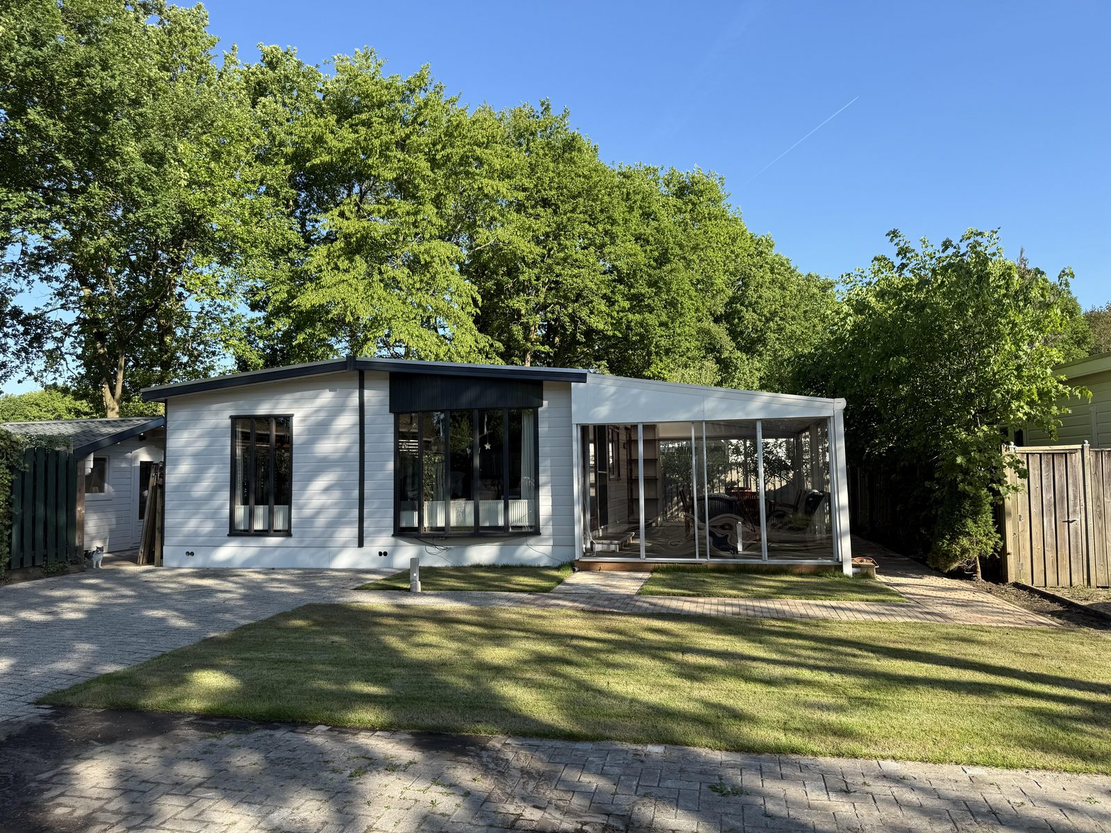 Berken 0870