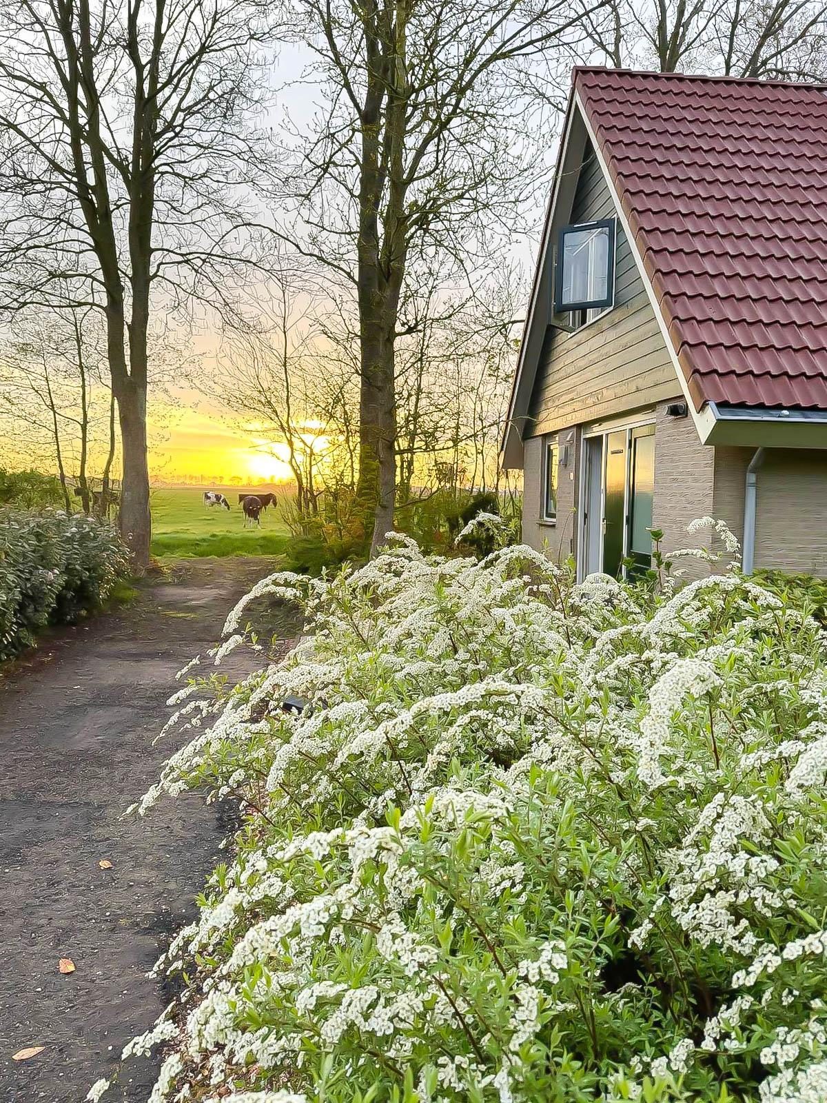 Ferienhaus an der Küste