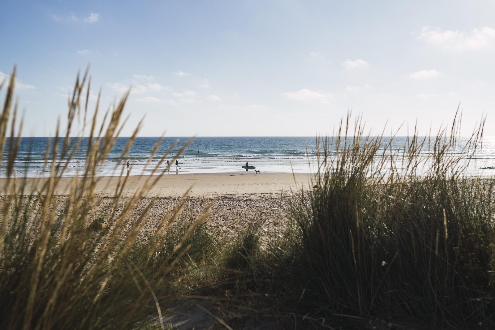 Puur Petten