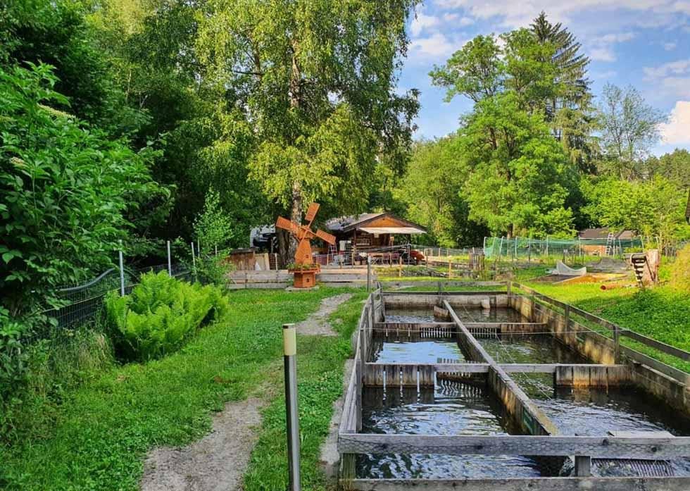Fishing pond Geroldsmühle