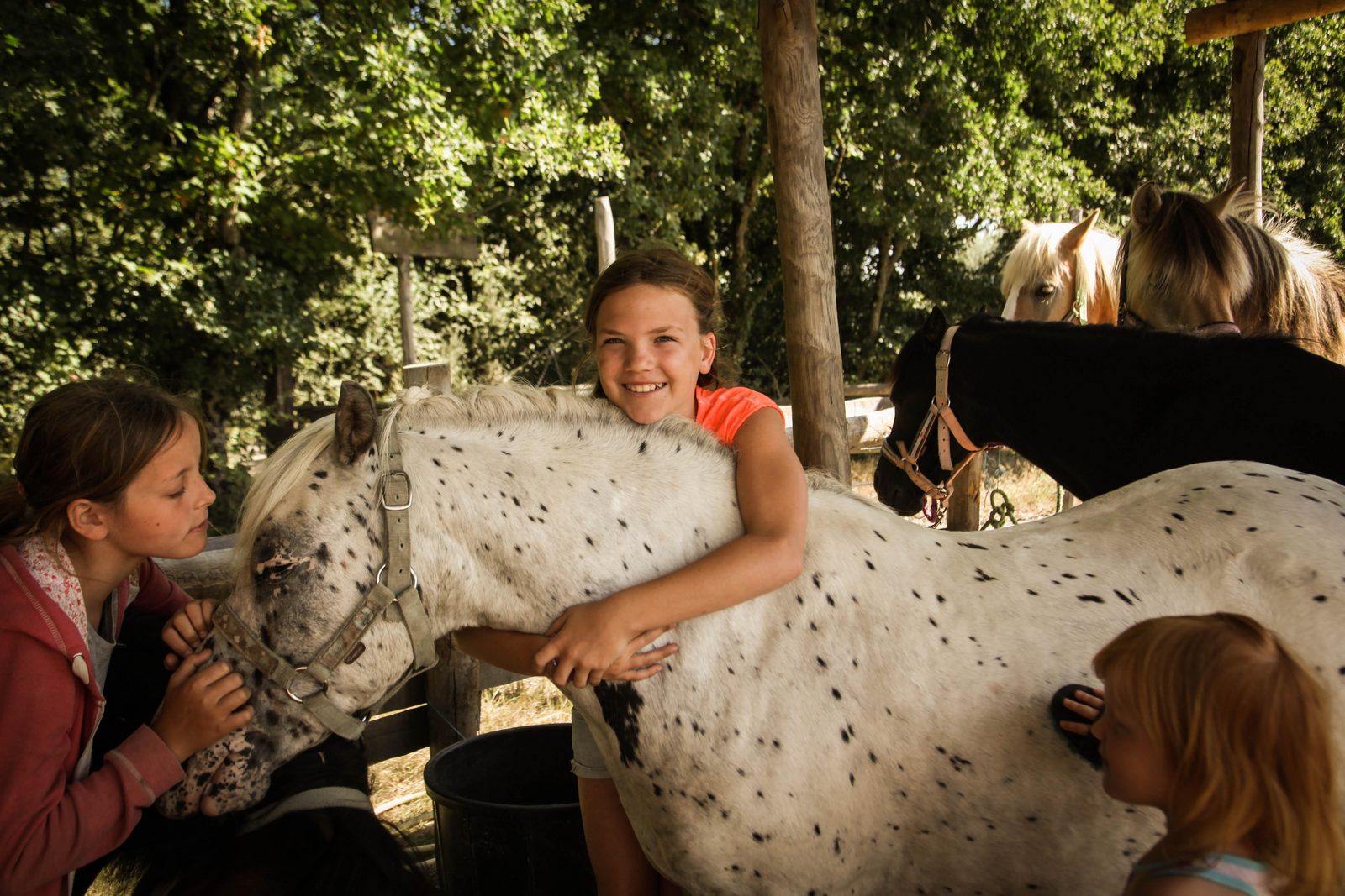 Pony Club