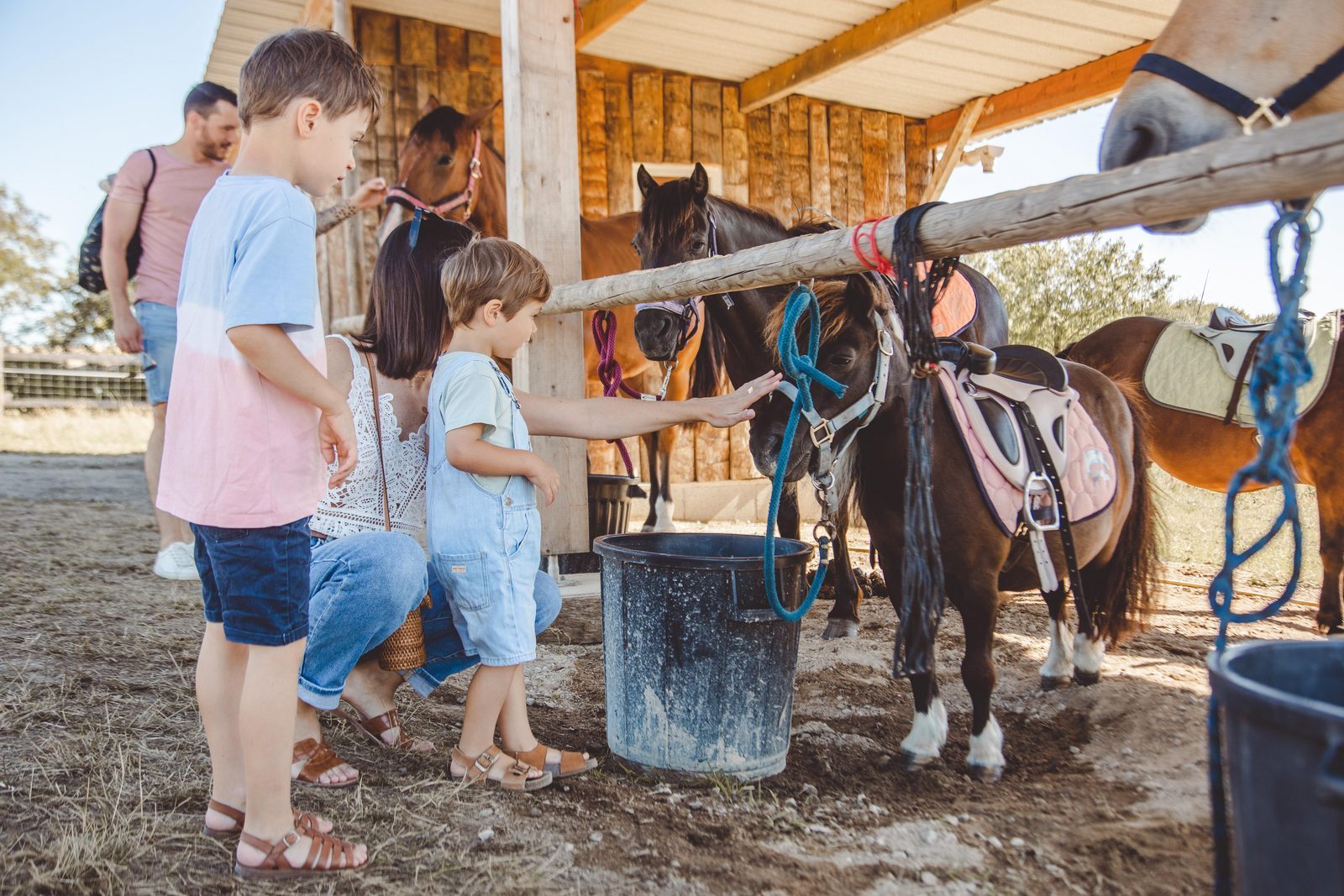 Ponyclub