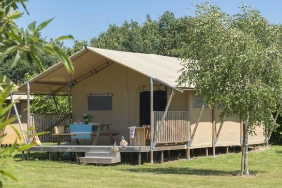 Woody lodge