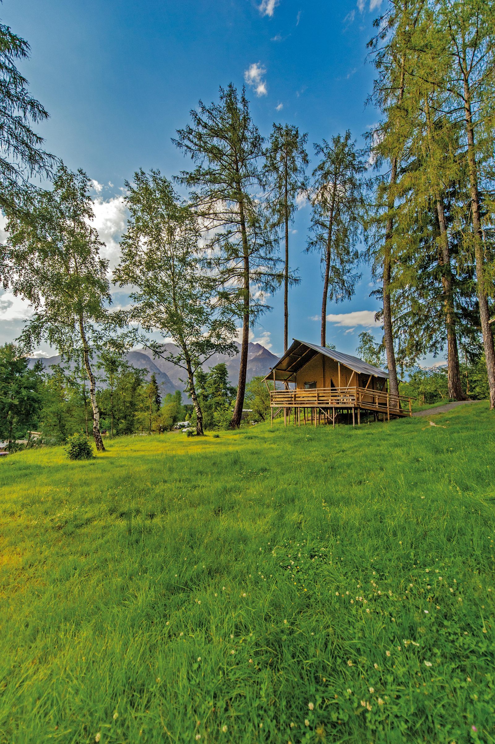 Breathtaking views in the safari lodge tent Lion