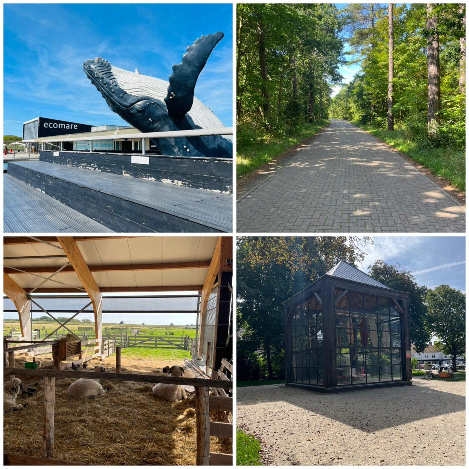 De Koog (Texel)