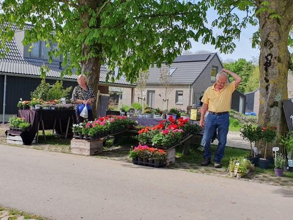 Beetpflanzen zu verkaufen im 't Parkhuys