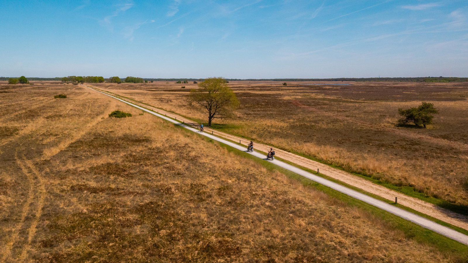 Omgeving