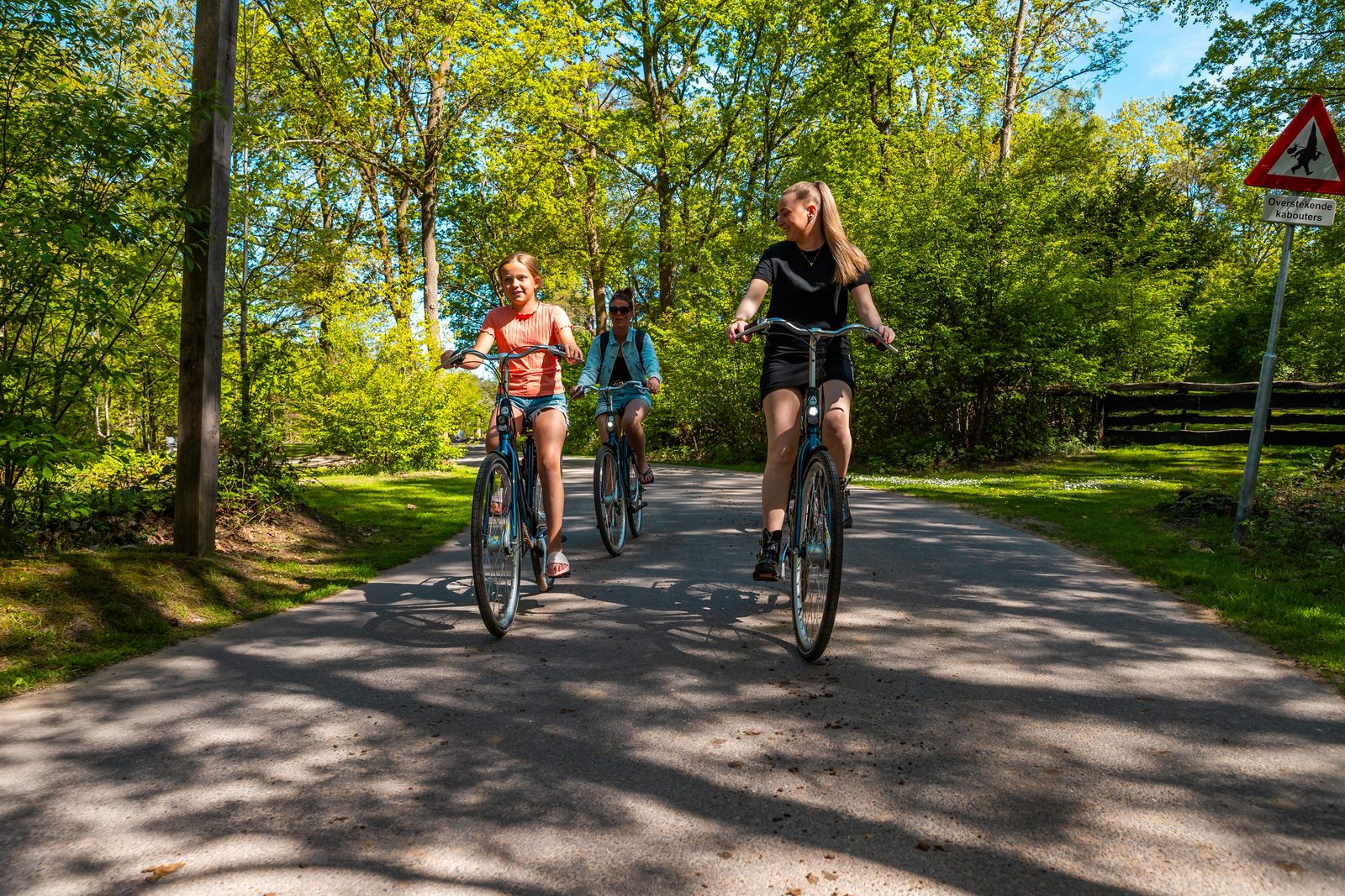 Fietsverhuur