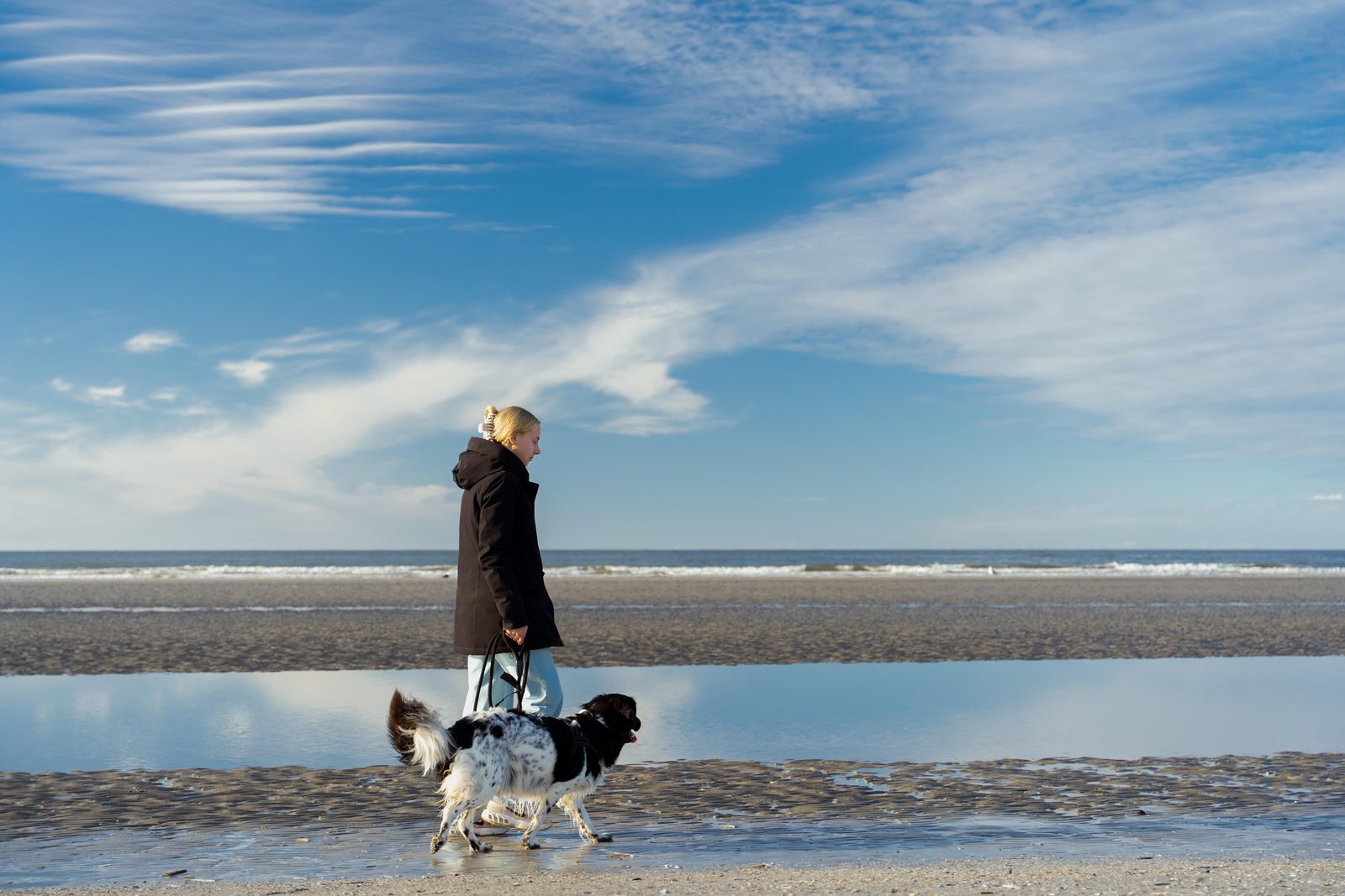 Hond op park