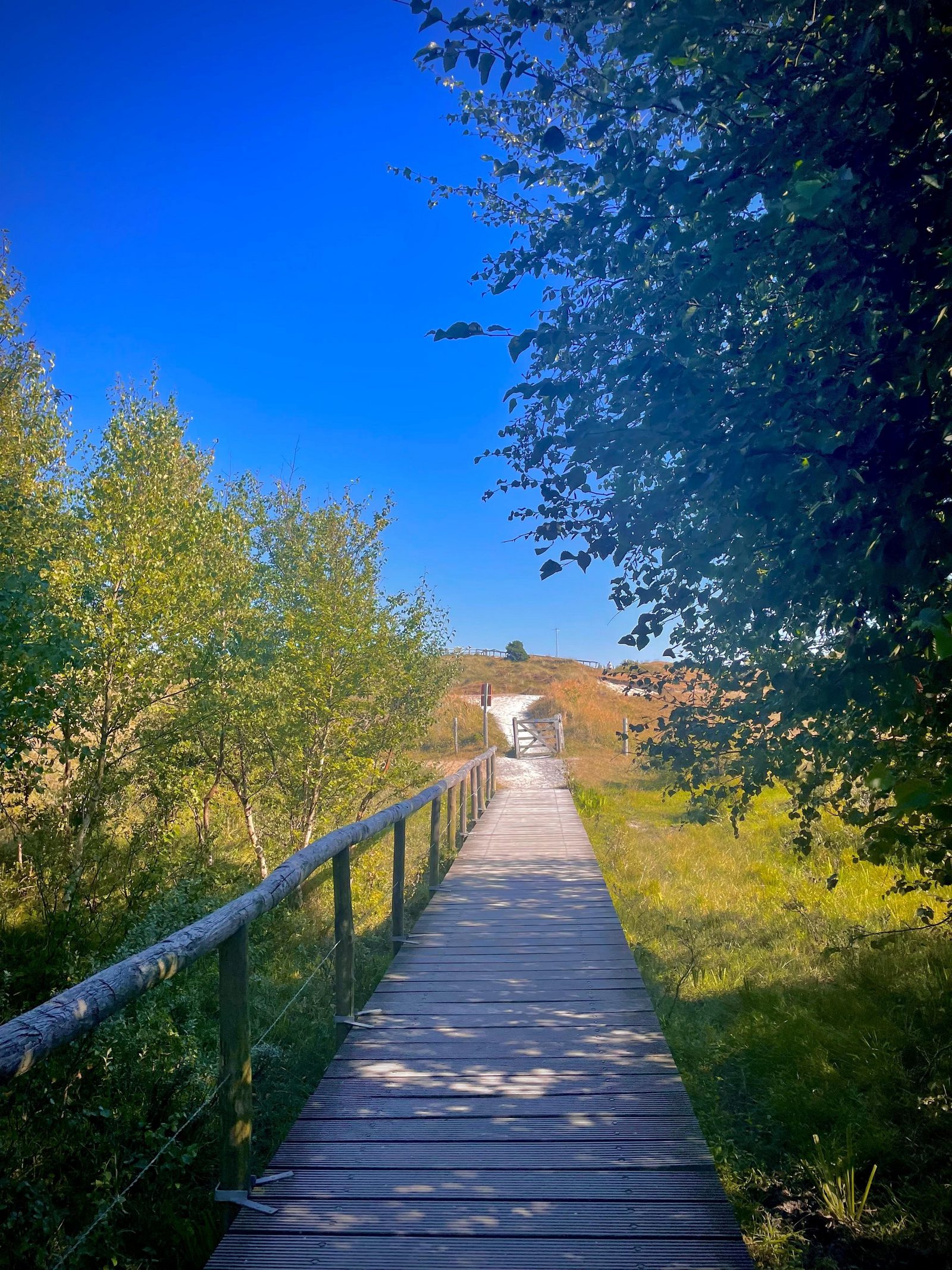 Surroundings