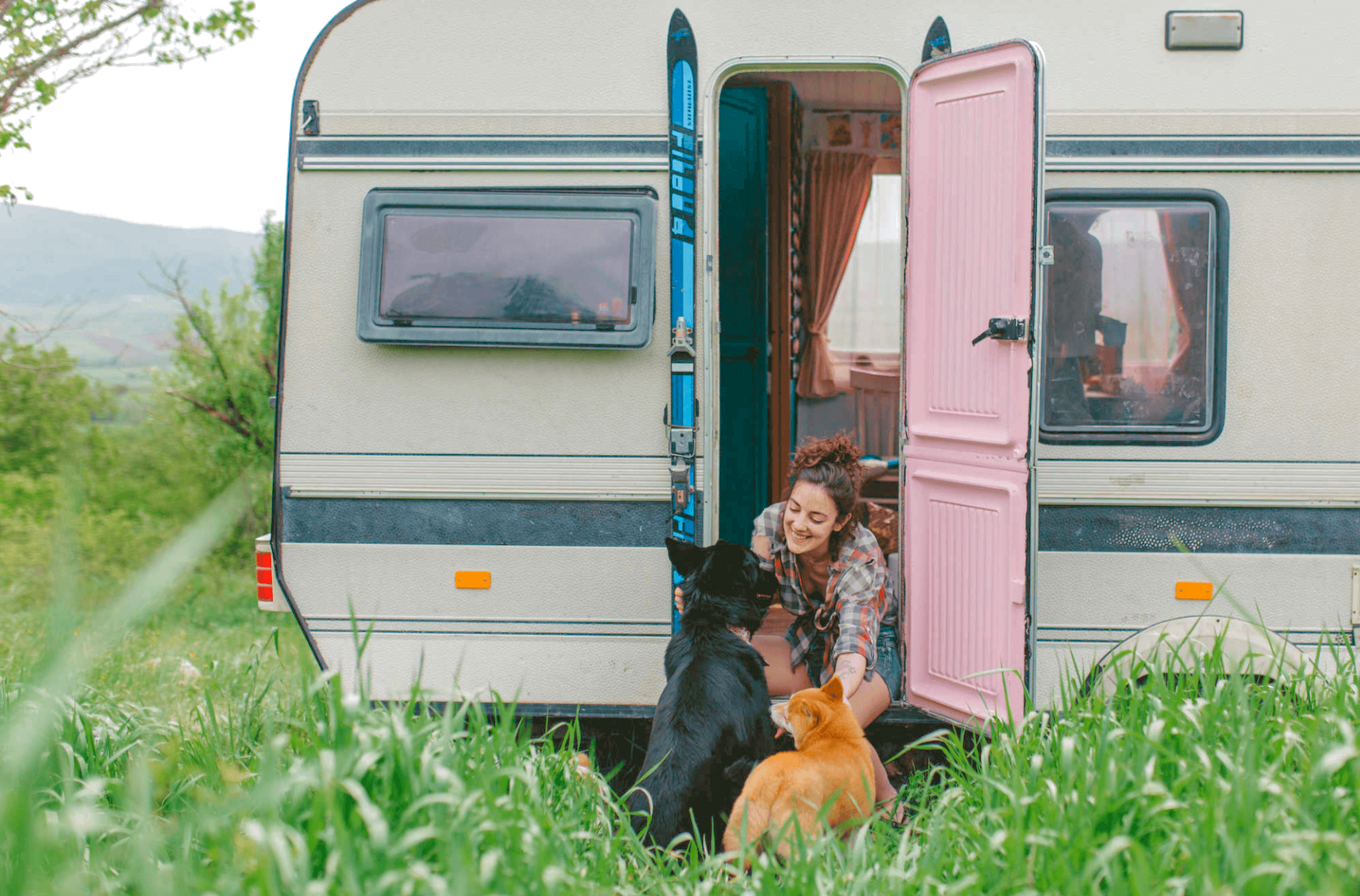 Urlaub in Österreich mit Hund