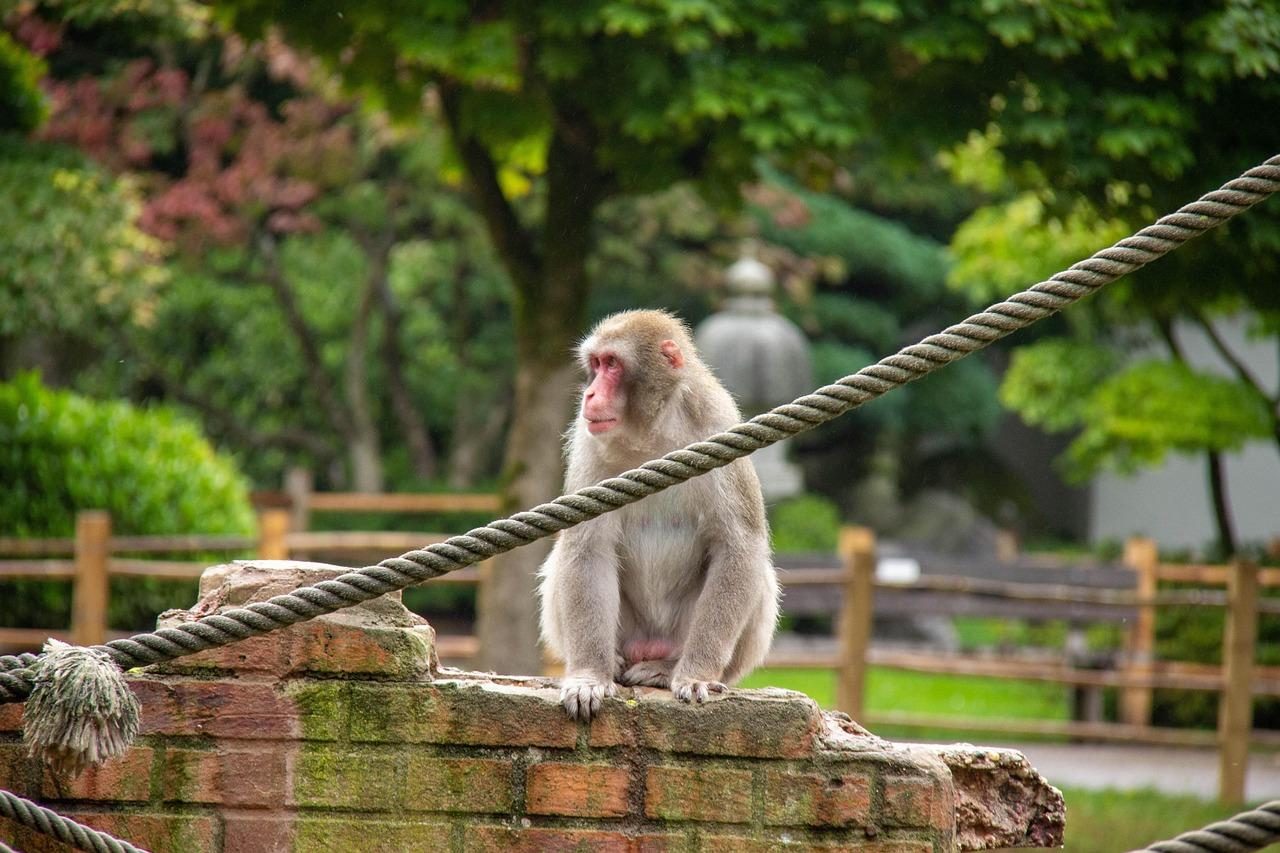 Zoo Amersfoort