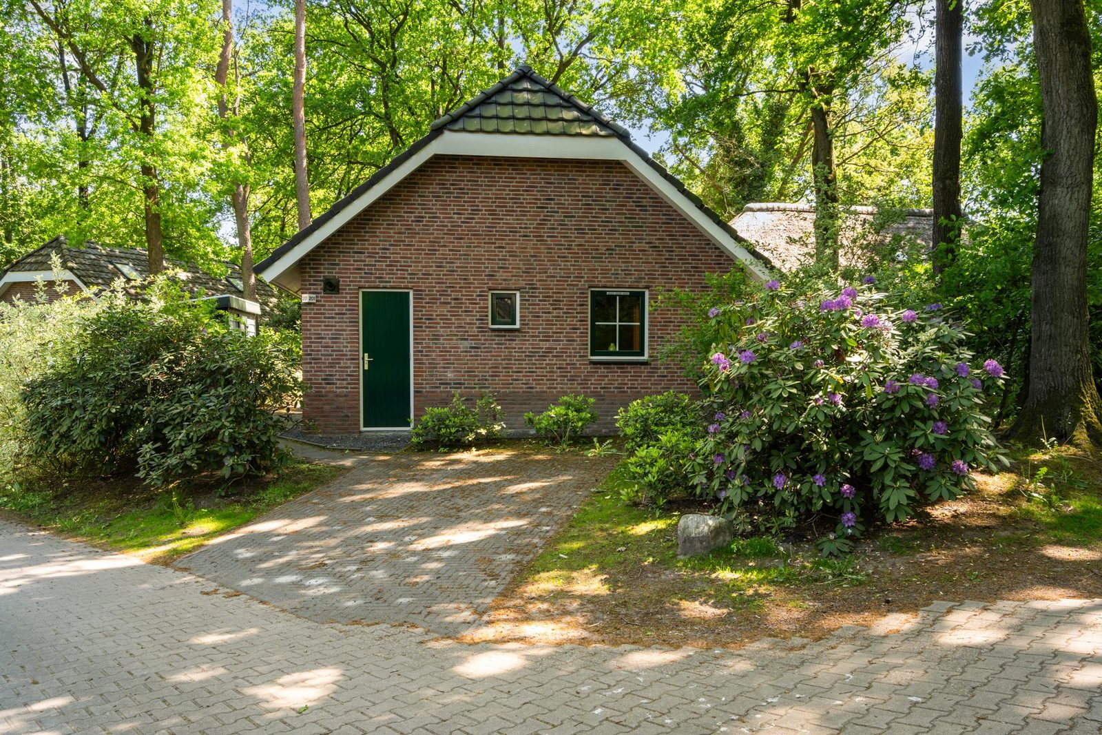 Te koop 8 persoons luxe Beukenhoeve 201