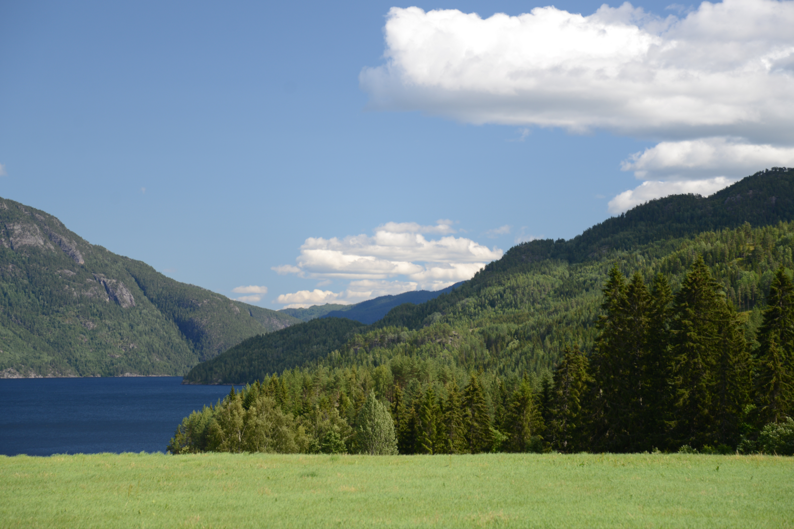 Grasstück mit Blick auf einen Berg in Norwegen