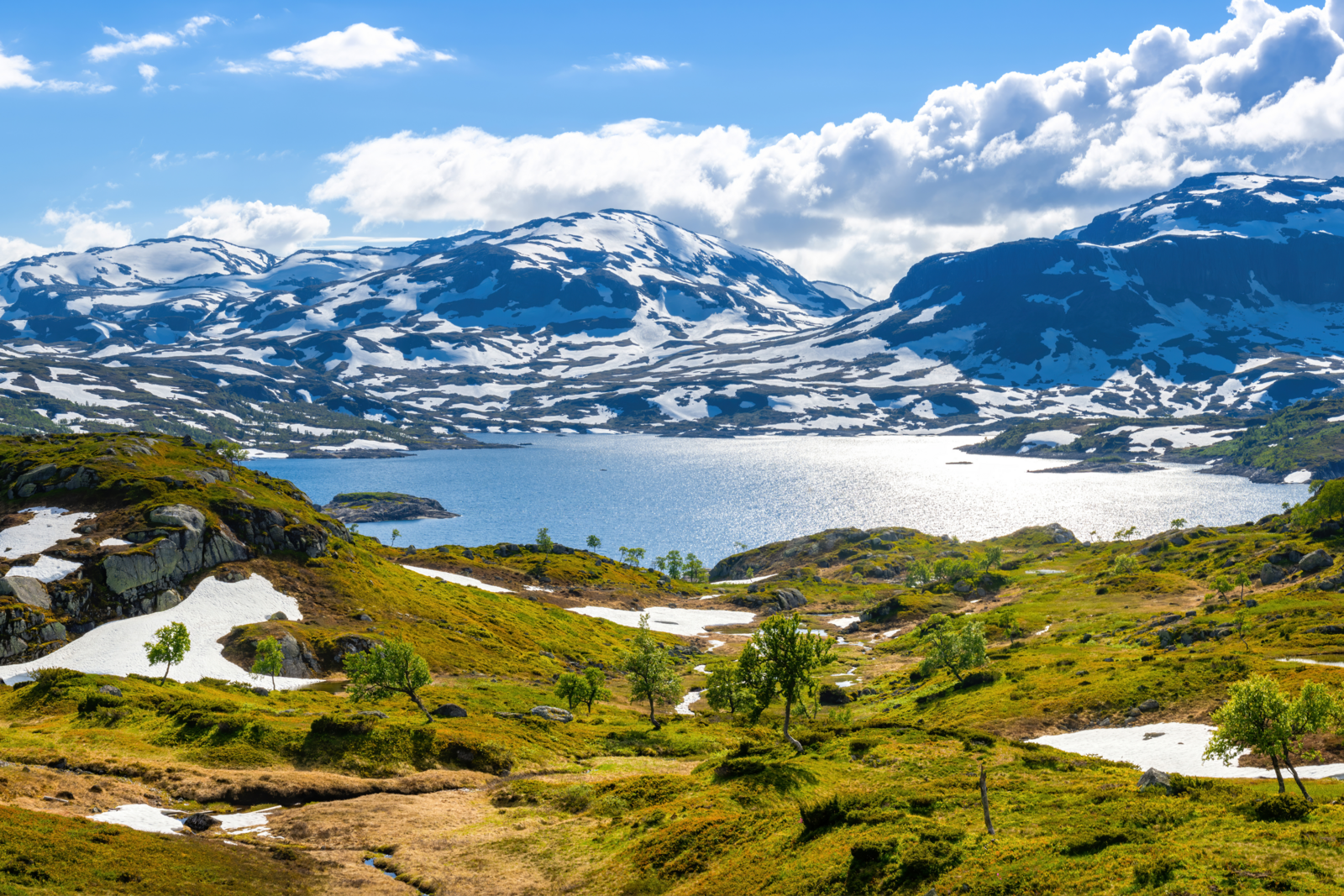 Hardangervidda-Nationalpark