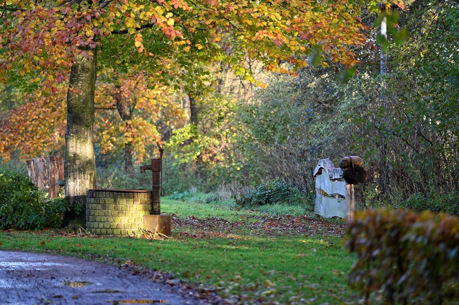 Vakantiehuis in Overijssel 