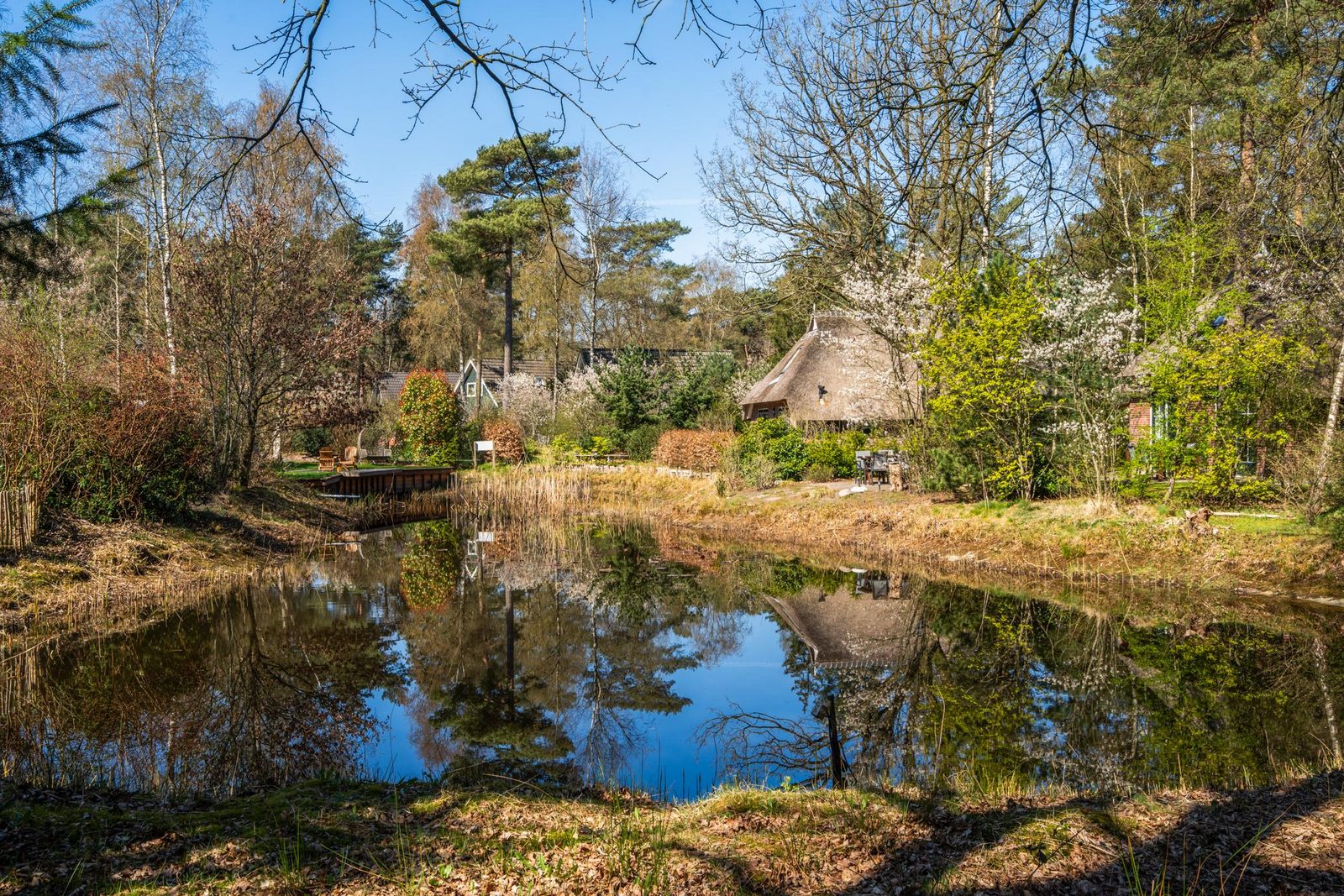 Prachtige rustieke Berghoeve  nr 311 - 8 personen op een groot kavel 