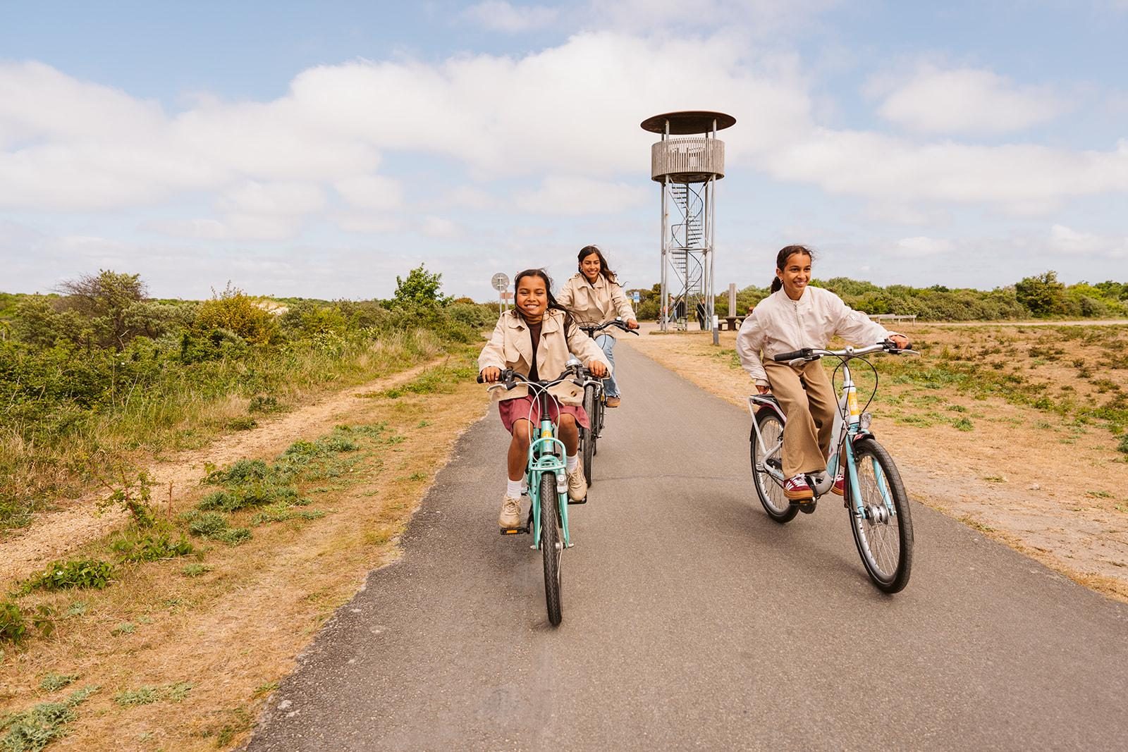 Bicycle rental service