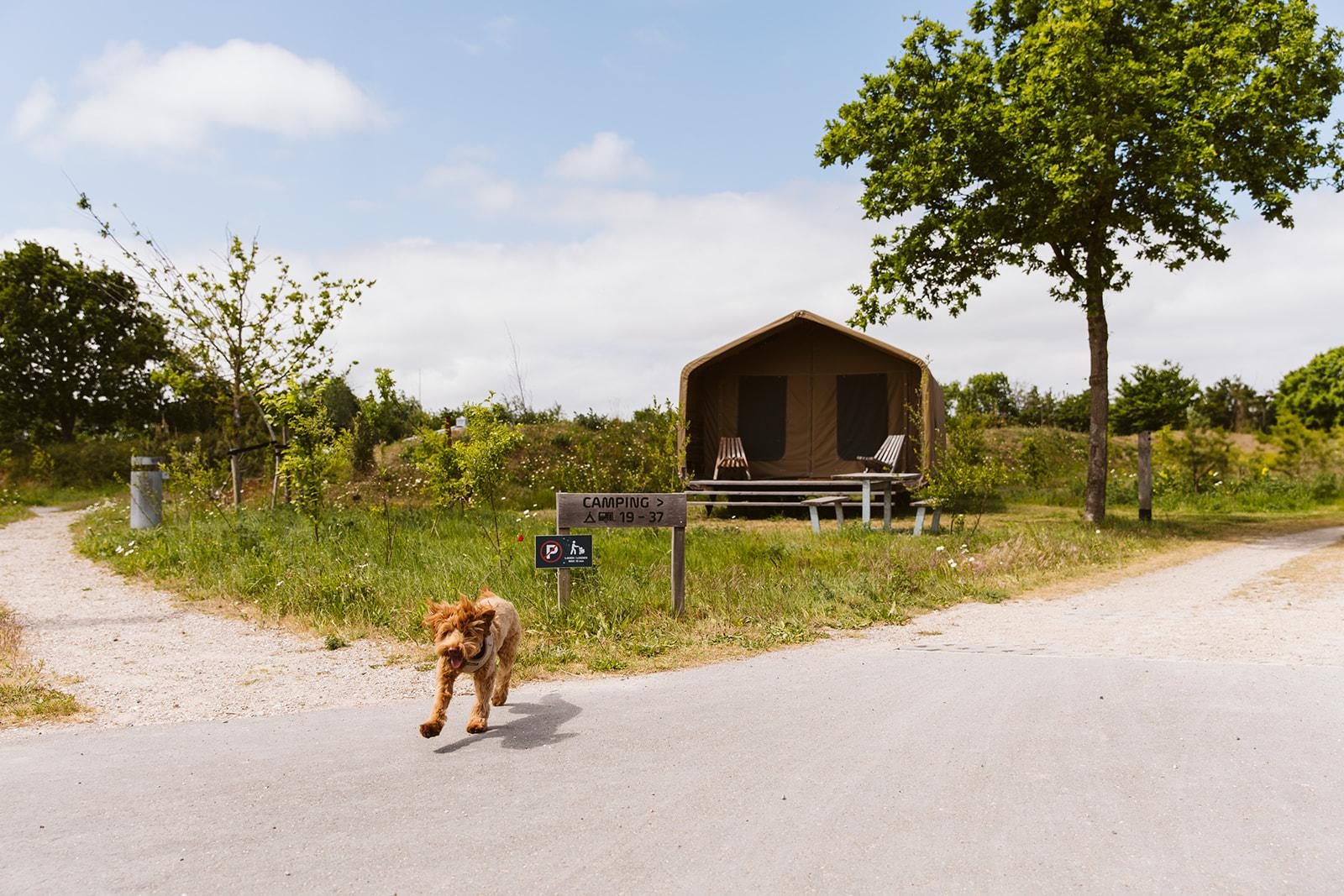 Sehen Sie sich die Camping-Stellplätze an