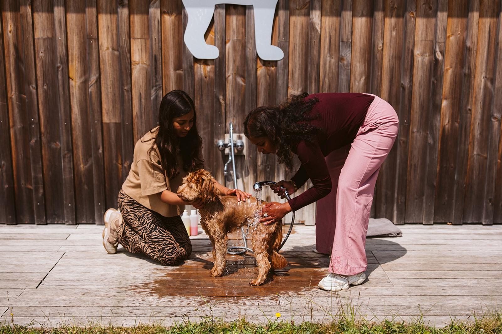 Dog Wash