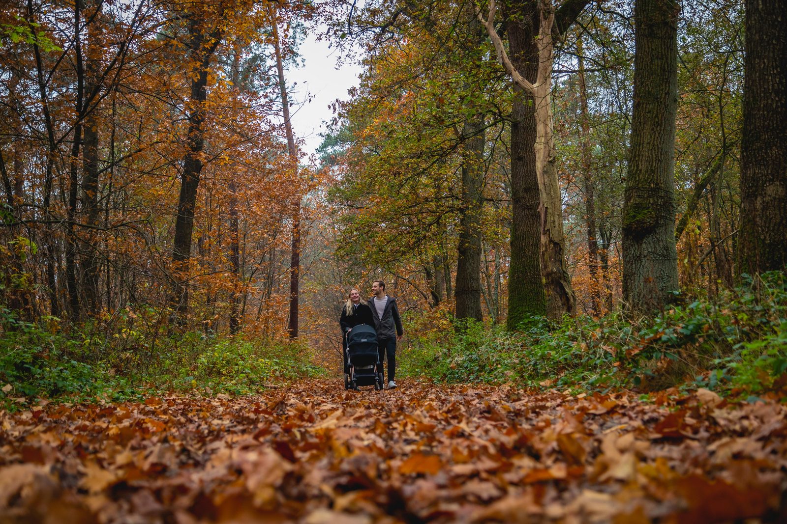 autumn