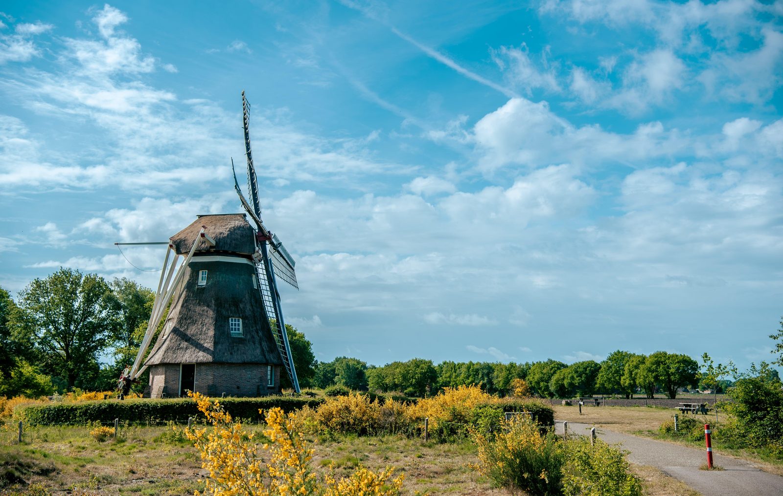 Dwingelderveld National Park Molen