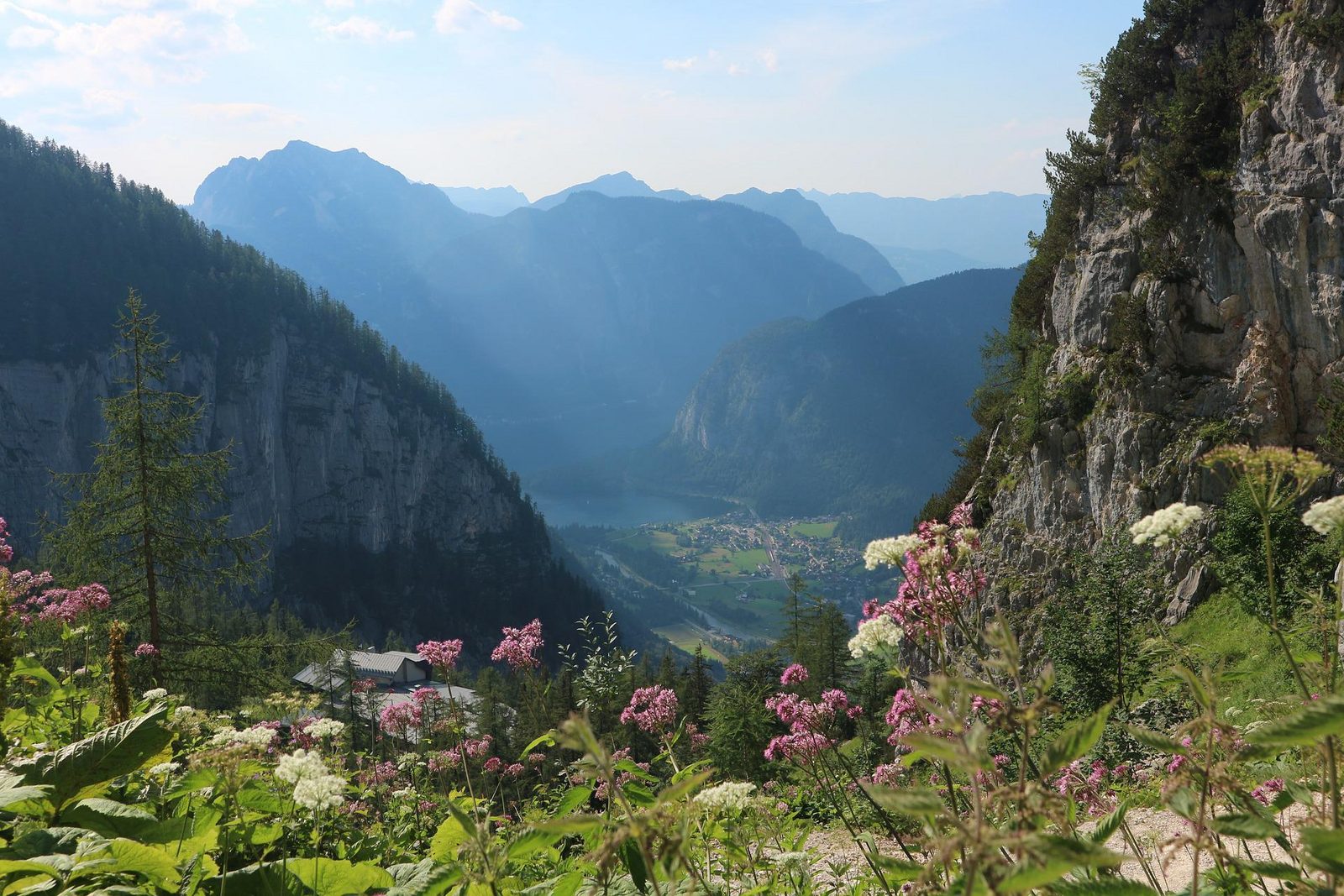 Austria Mountains Flowers Sun Valley
