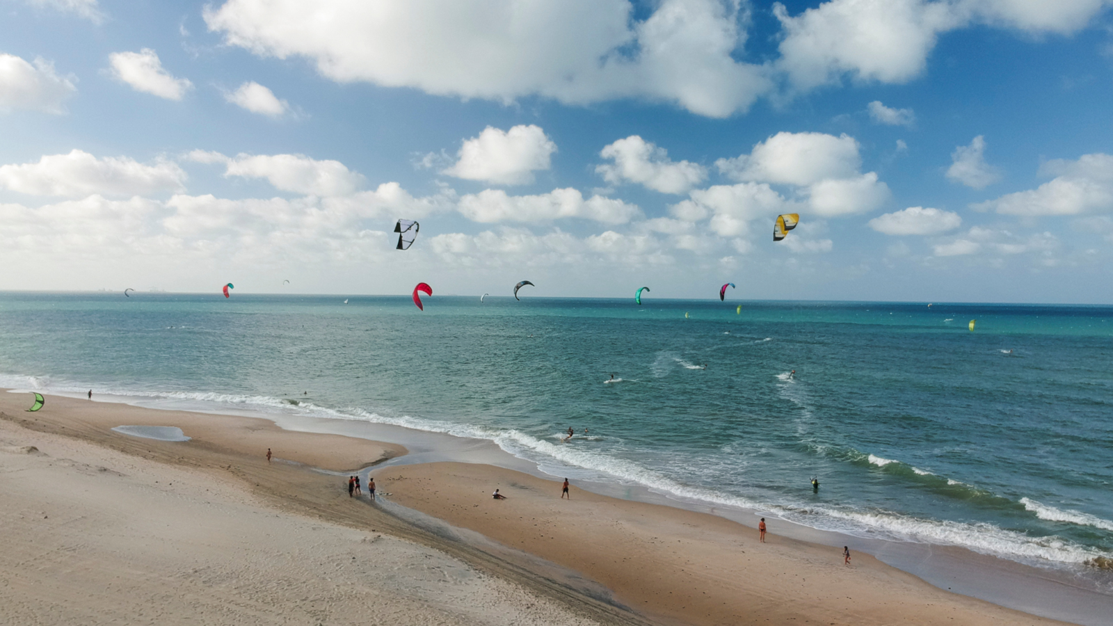 lots of kites at the beach water sea