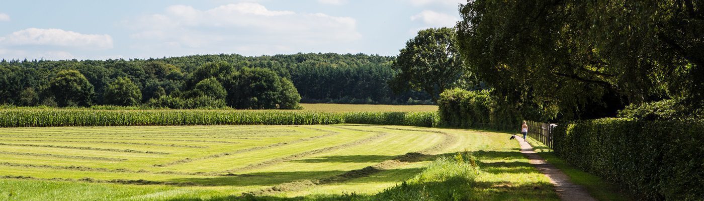 Holiday Park De Lochemse Berg