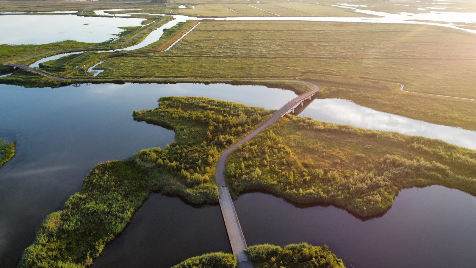 Image 1 de Biesbosch