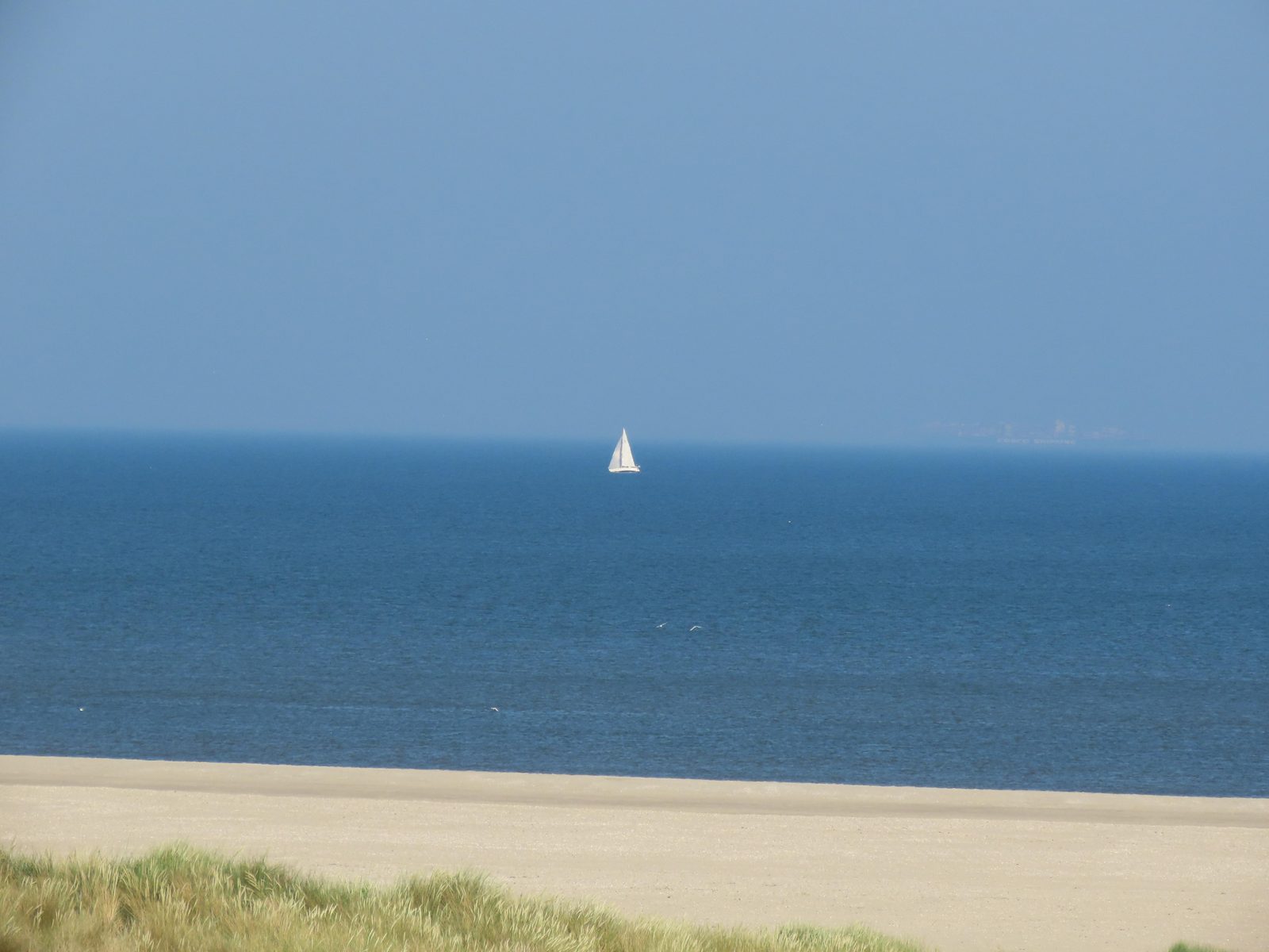 Texel Beach Sea Boat Sail Water Blue Sky