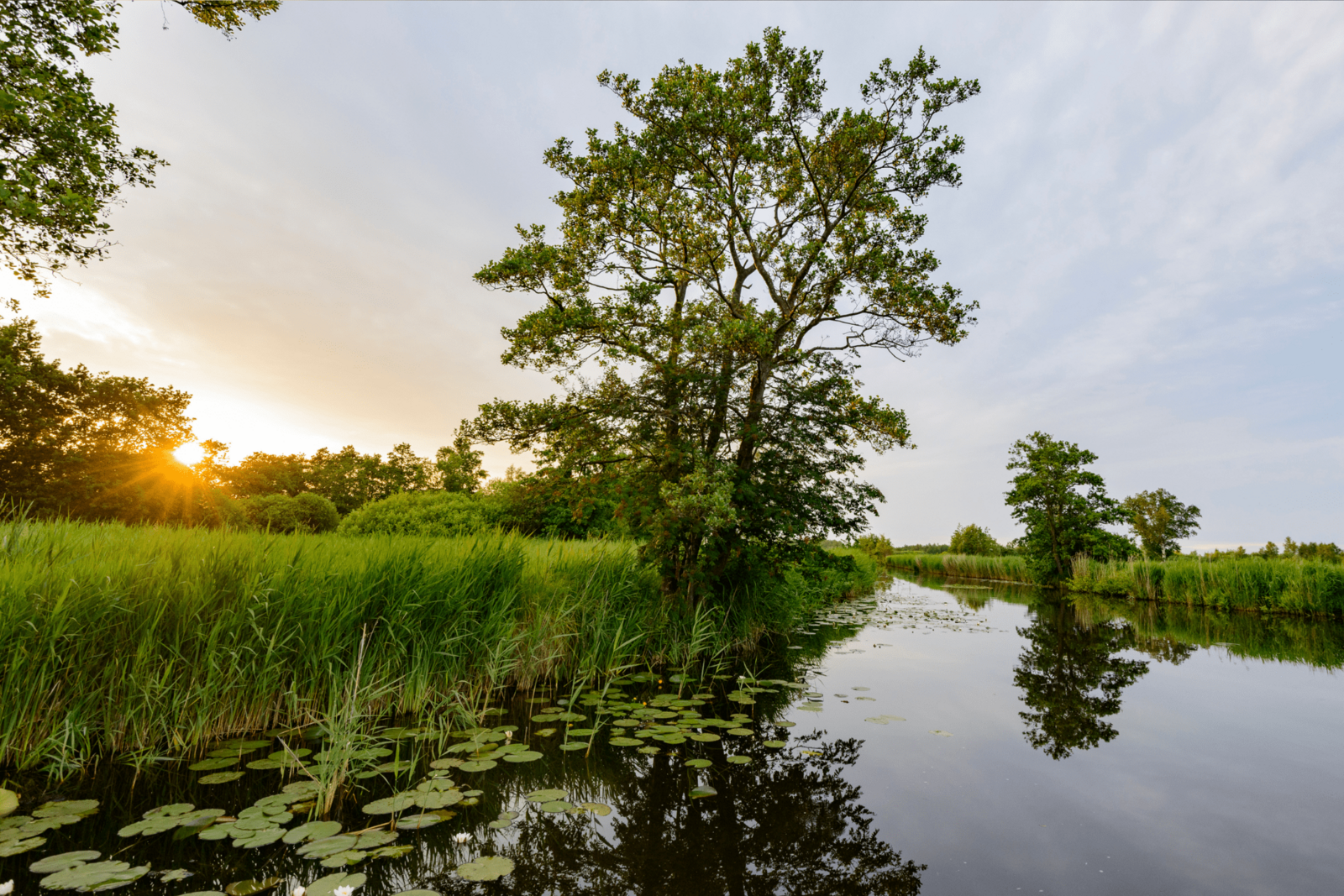 Image 1 Weerribben-Wieden
