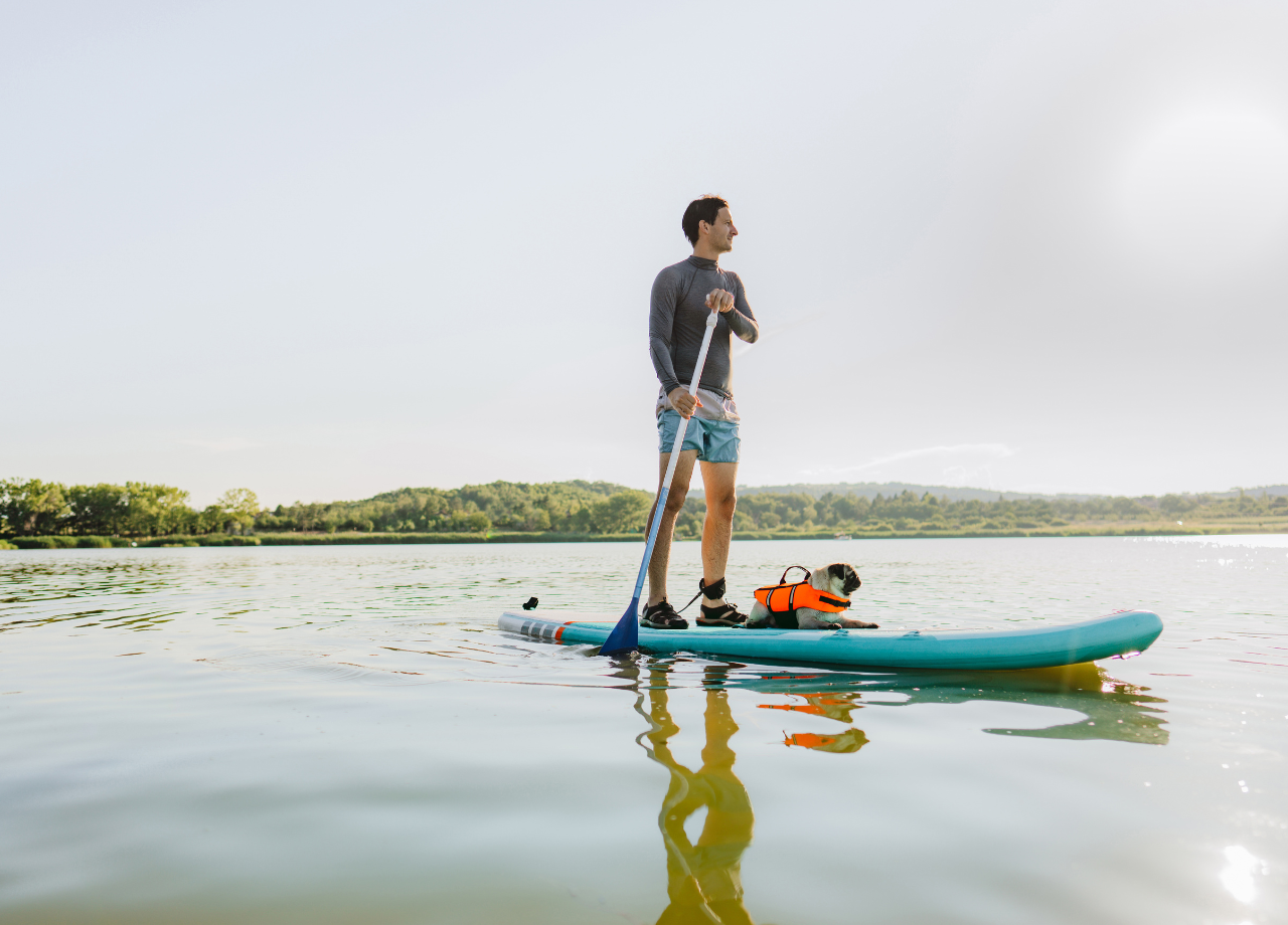 watersports stand up paddling with dog