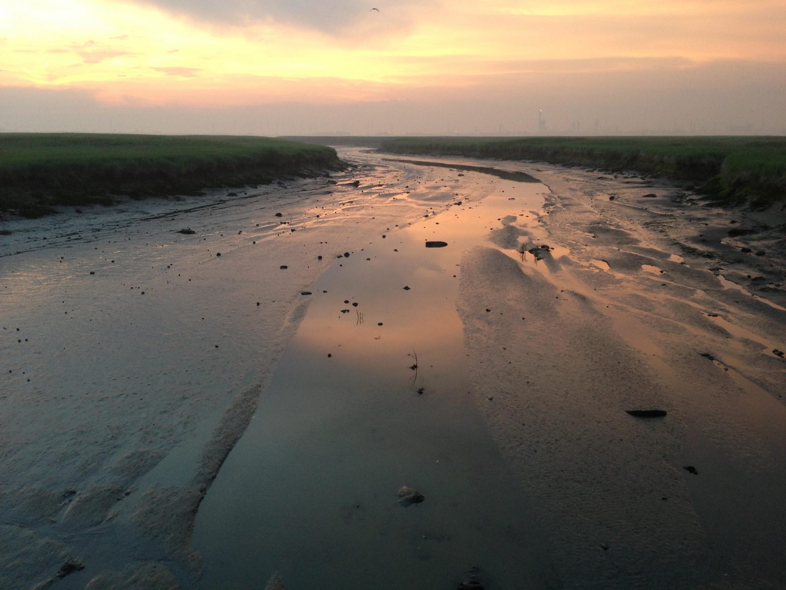 Het Verdronken Land van Saeftinghe, Zeeland Nederland