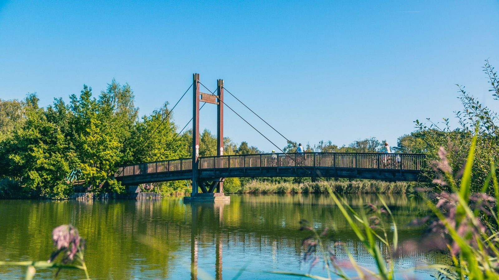 EuroParcs Zilverstrand bridge water bike