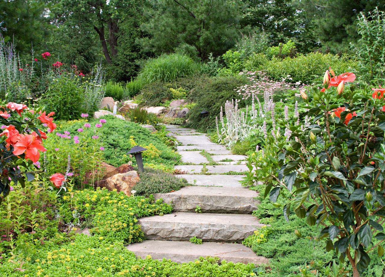 garden with flowers