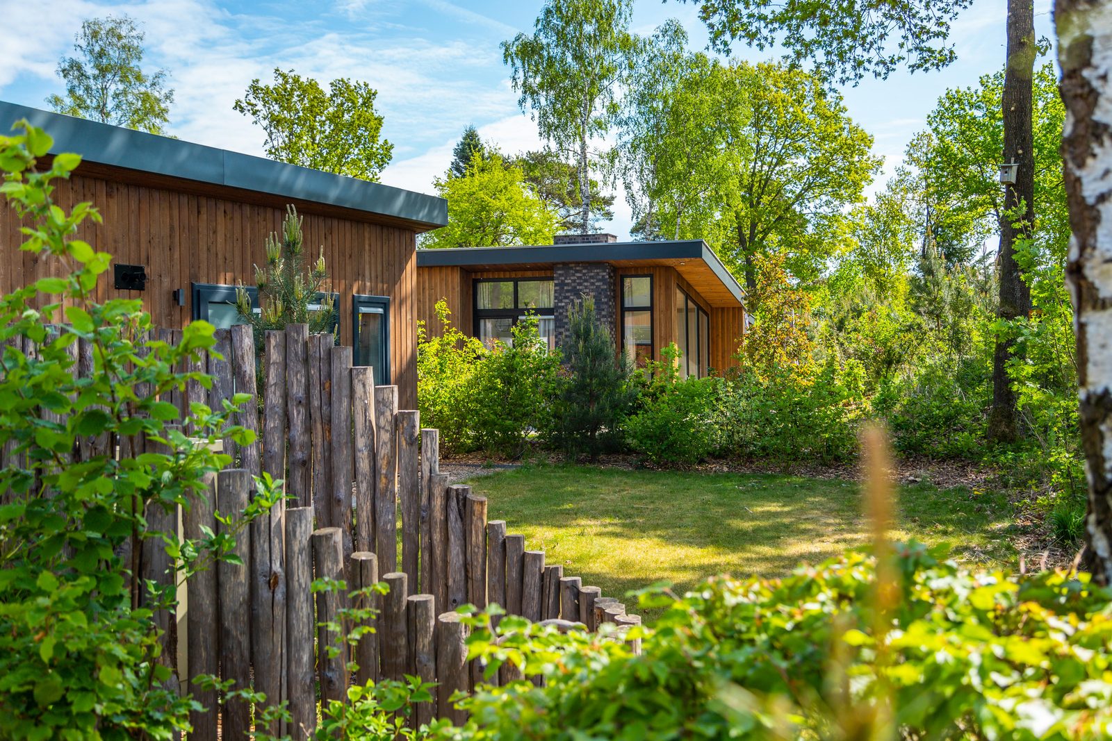 De Wije Werelt Accommodations Garden Trees Forest Sunny