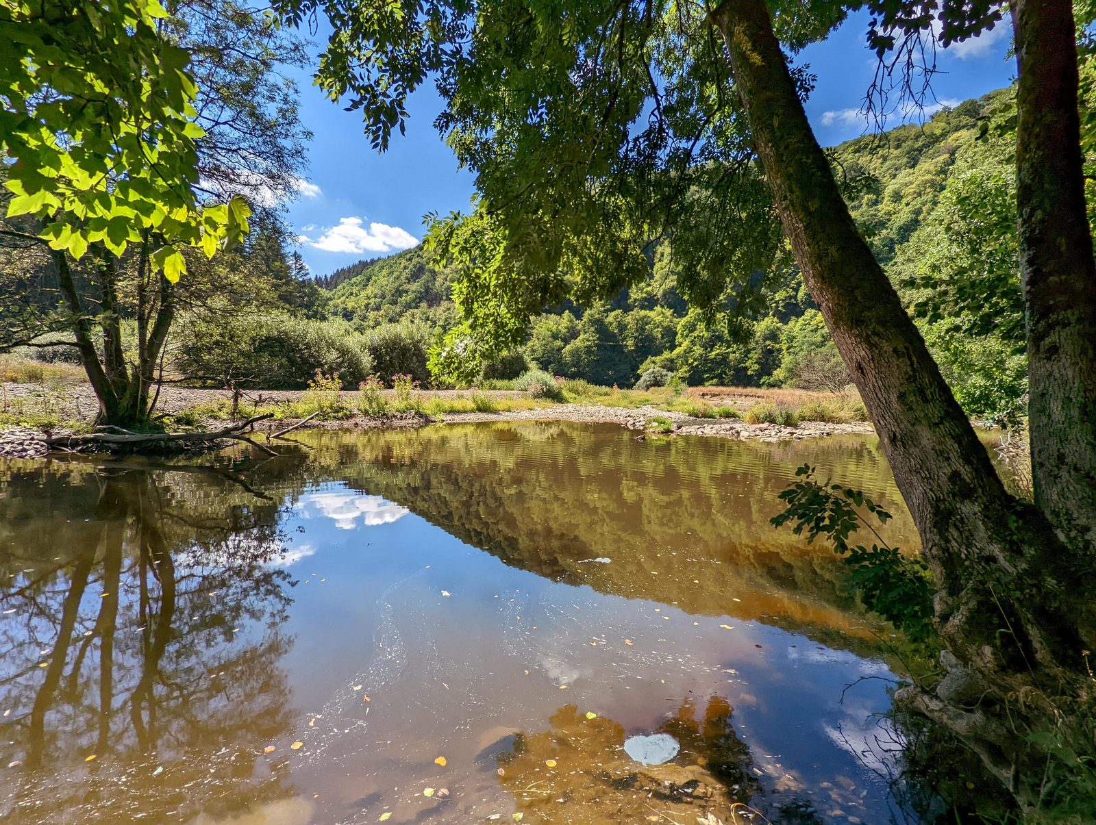 nature - water - kohnenhof