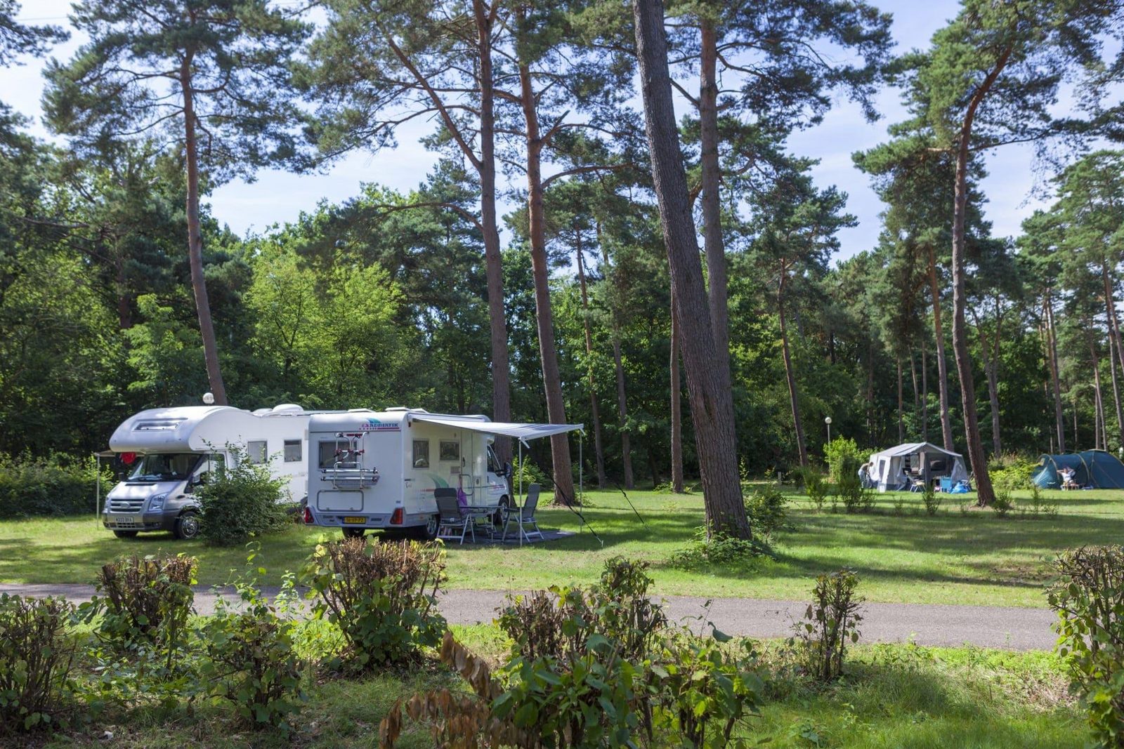 EuroParcs De Wije Werelt Camping 