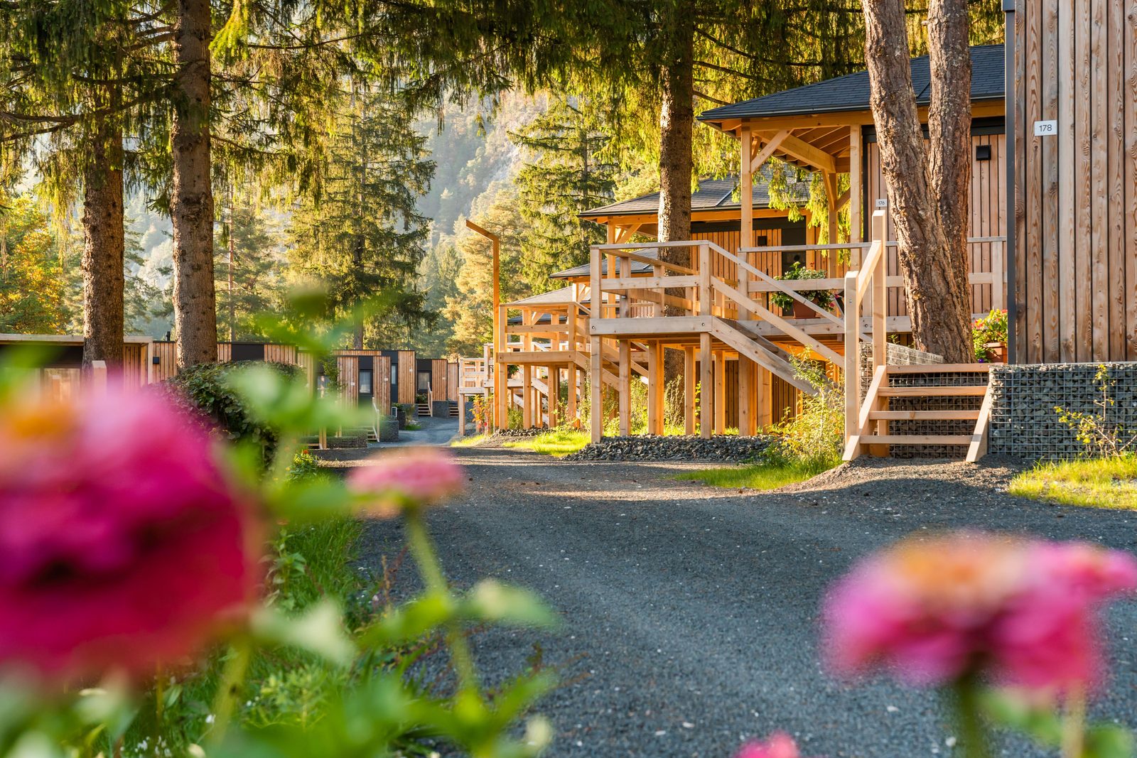 Pressegger See Fall Autumn Chalets Road Flowers Forest Mountains
