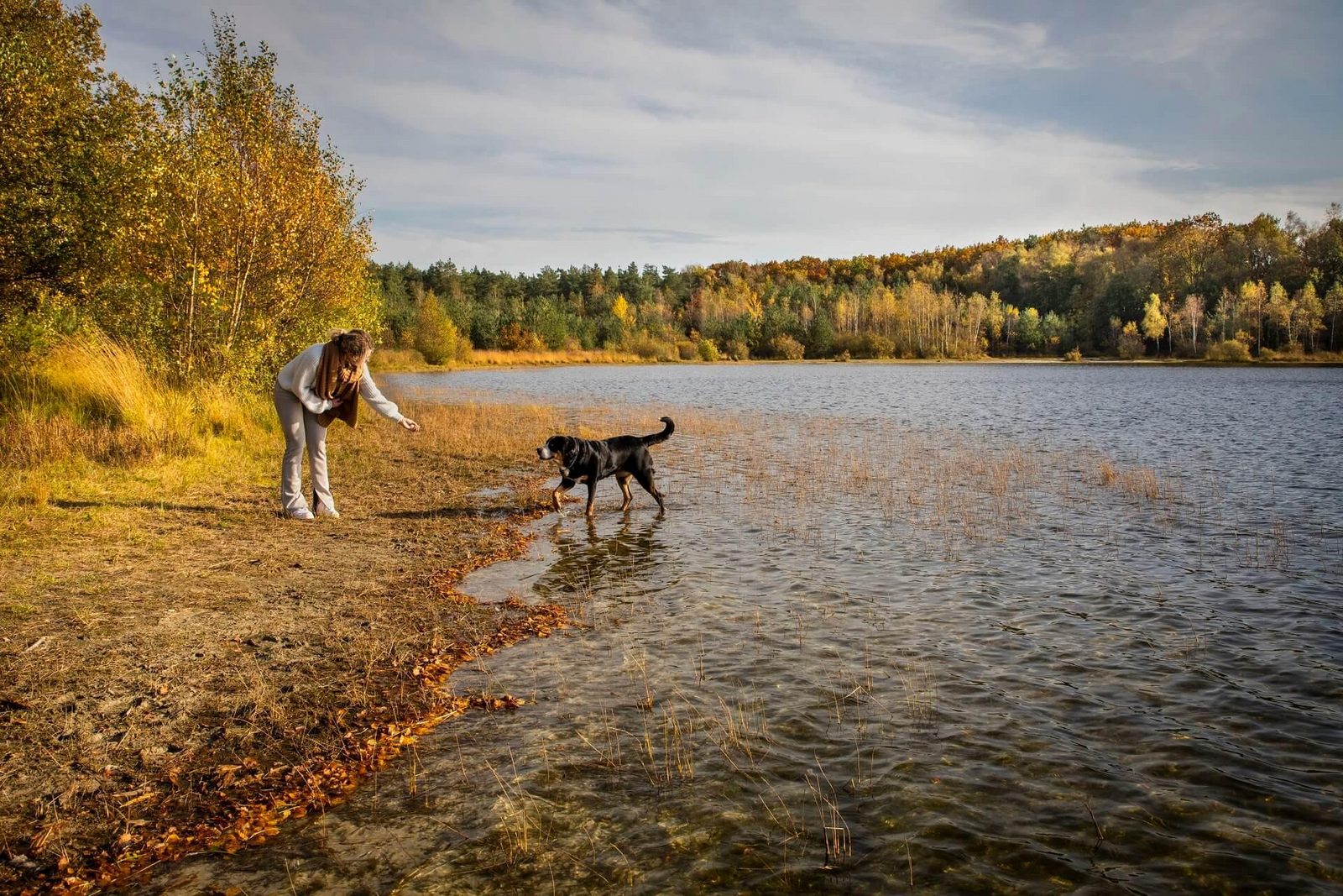 Weekend away with dog through the water of the lake in the area of EuroParcs