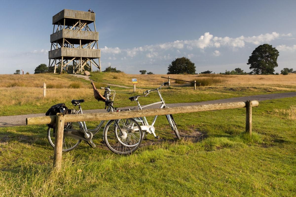 Drents-Friese Wold 1