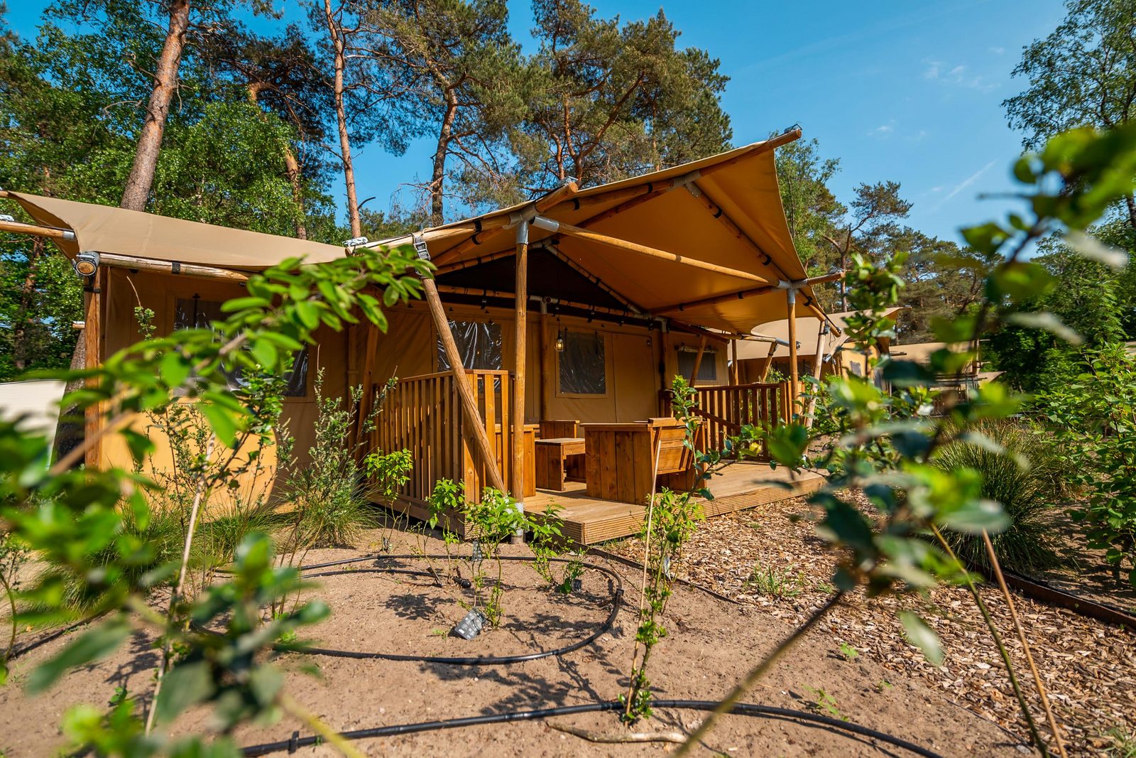 De Zanding Glamping Tent Exterior Plants
